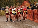 2010CIF XC GD2-1969